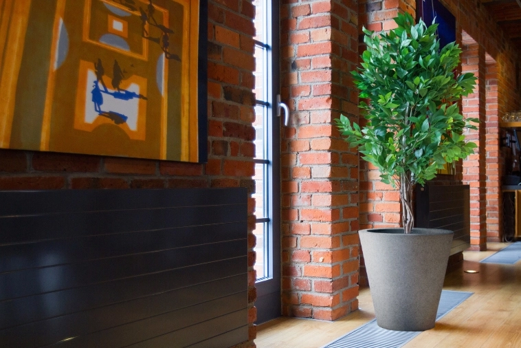 Niska pojemna donica do traw ozdobnych Monumo Ovo